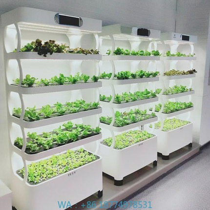 Iydroponic Automated Grow Syst - Diy Home Automation System avaliação e preço