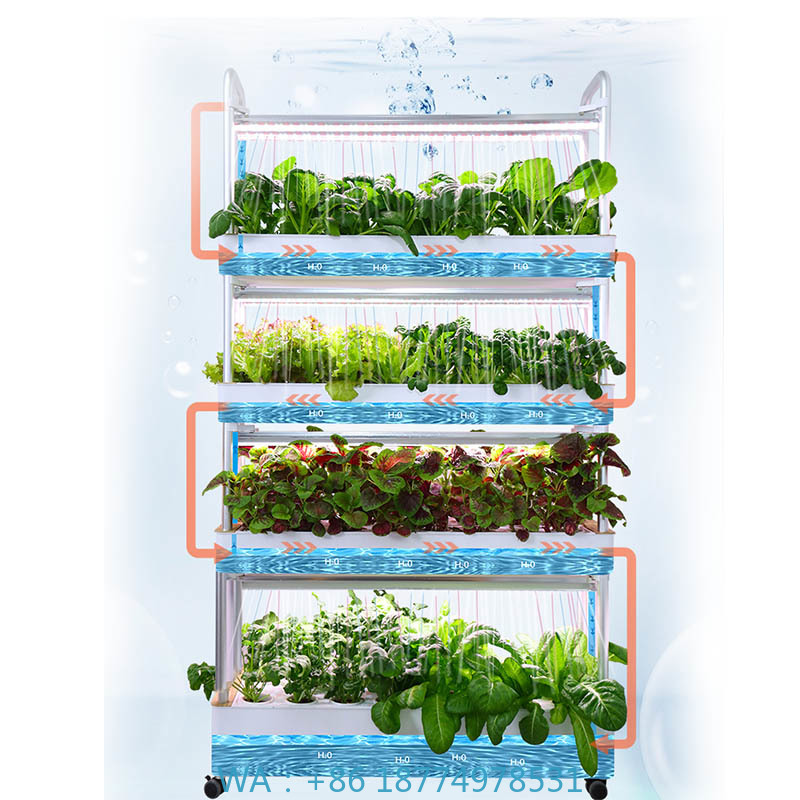 ydroponic Planting System Smar - Diy Home Automation System avaliação e preço