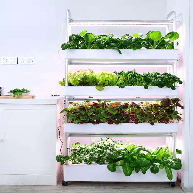 ydroponic Planting System Smar - Diy Home Automation System avaliação e preço