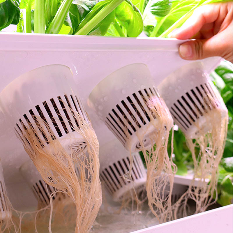 ydroponic Planting System Smar - Diy Home Automation System avaliação e preço
