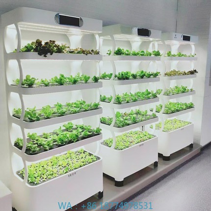 Hydroponic Automated Grow Syst - Diy Home Automation System avaliação e preço